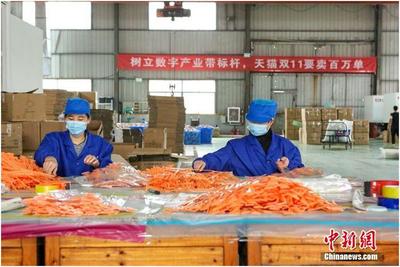 天貓雙11產(chǎn)業(yè)帶首日銷量井噴，7個(gè)產(chǎn)地1小時(shí)破億彰顯日用百貨消費(fèi)活力