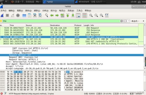 網(wǎng)絡(luò)嗅探技術(shù)在信息安全實驗中的應(yīng)用與軟件開發(fā)實踐